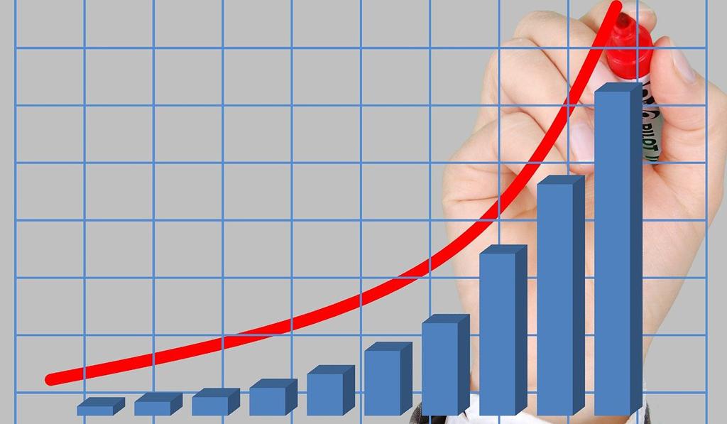 Balancing the Scales: The Distribution of Budget in Developing ...